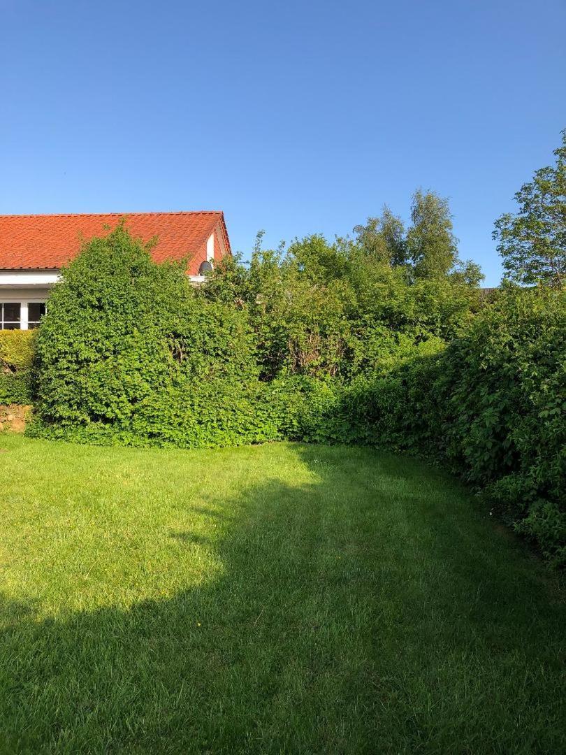 Schleihaus Hinterm Deich Villa Kappeln Buitenkant foto